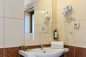 Hotel Casa Viorel