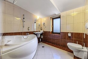 Hotel Casa Viorel
