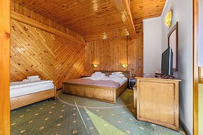 Hotel Casa Viorel