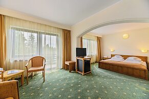 Hotel Casa Viorel