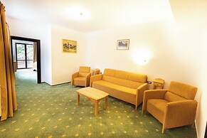 Hotel Casa Viorel