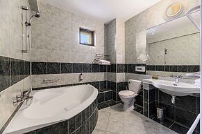 Hotel Casa Viorel
