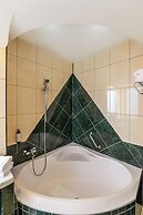 Hotel Casa Viorel