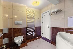 Hotel Casa Viorel
