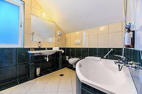 Hotel Casa Viorel