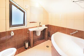 Hotel Casa Viorel