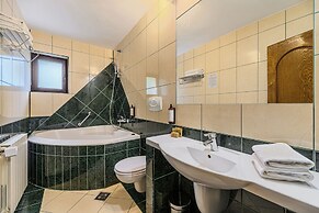 Hotel Casa Viorel