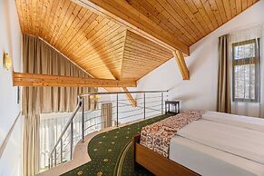 Hotel Casa Viorel