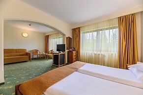 Hotel Casa Viorel