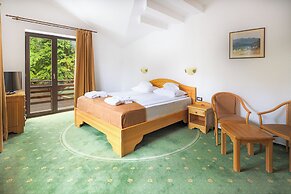 Hotel Casa Viorel
