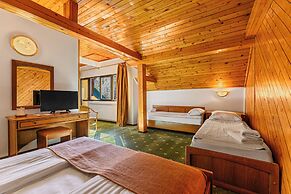 Hotel Casa Viorel