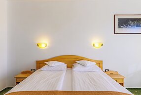 Hotel Casa Viorel
