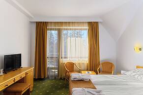 Hotel Casa Viorel