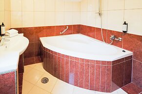 Hotel Casa Viorel