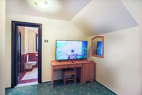Hotel Casa Viorel
