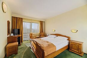 Hotel Casa Viorel