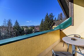 Hotel Casa Viorel