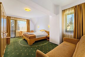 Hotel Casa Viorel