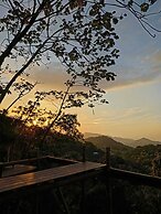 La Casa del Mono