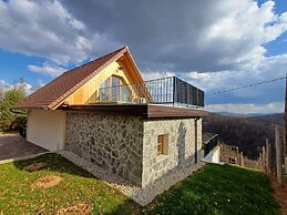 Vineyard cottage Kraljevi kotiček