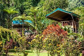 Rafiki Safari Lodge