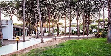 New Barcavela