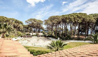 New Barcavela