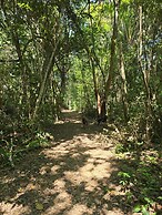 Freshwater Creek Cabanas