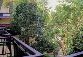 Hotel Damai