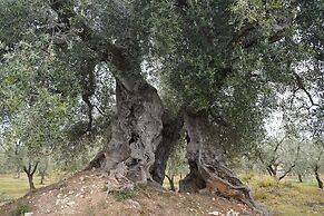 masseria casamassima