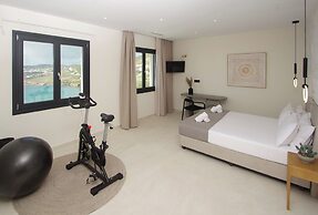 Pnoe Villas Syros