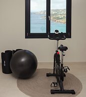 Pnoe Villas Syros
