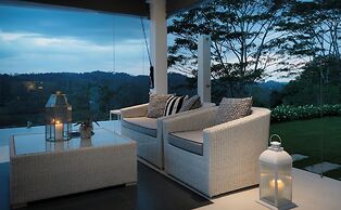 Camelia Ranch