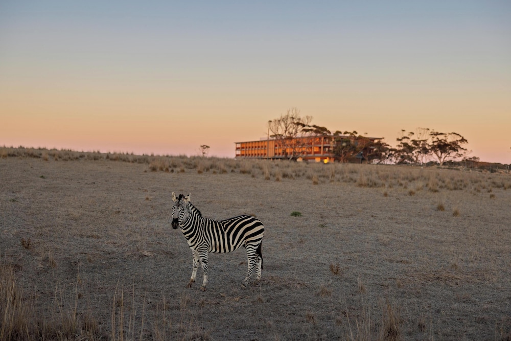 Monarto Safari Resort