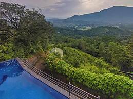 Terrace Cinnamon View