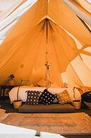 Crania Reclaim Camp