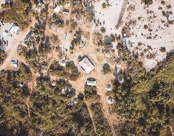 Crania Reclaim Camp