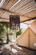 Crania Reclaim Camp