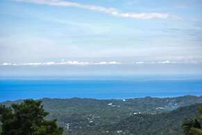 Taorayiná nature reserve