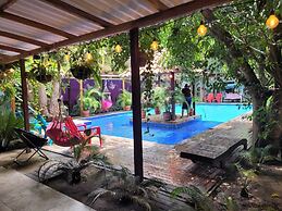 Hostal Hilltop Palomino