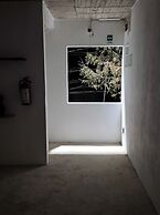 Hotel Caminos