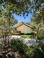 Apple Orchard Farm and Camping