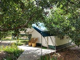 Apple Orchard Farm and Camping