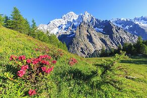 Montagne E Coccole