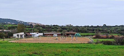 La Casa di Amalia in Ponte