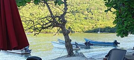 Hostal Hilltop Sapzurro