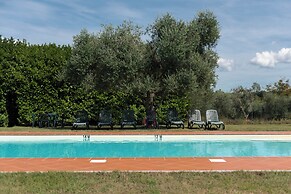 Green Hill Apt In Tuscan Countryside