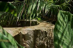 Casa Verde Alberca Jardin Diseno Ubicacion AC