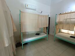 Molly's Hostel