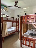Molly's Hostel